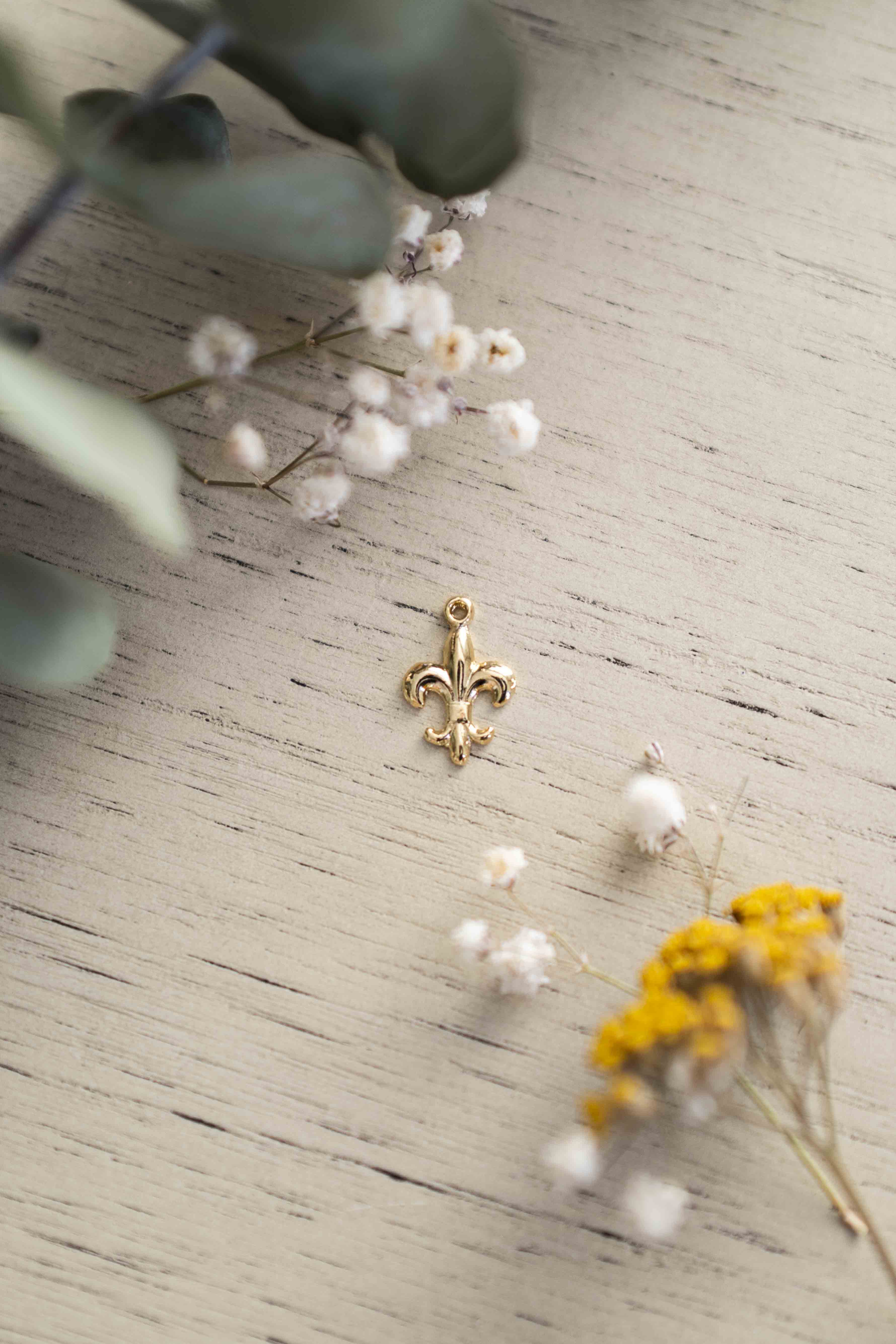 Fleur-de-lis - GABRIELLE ISABEL