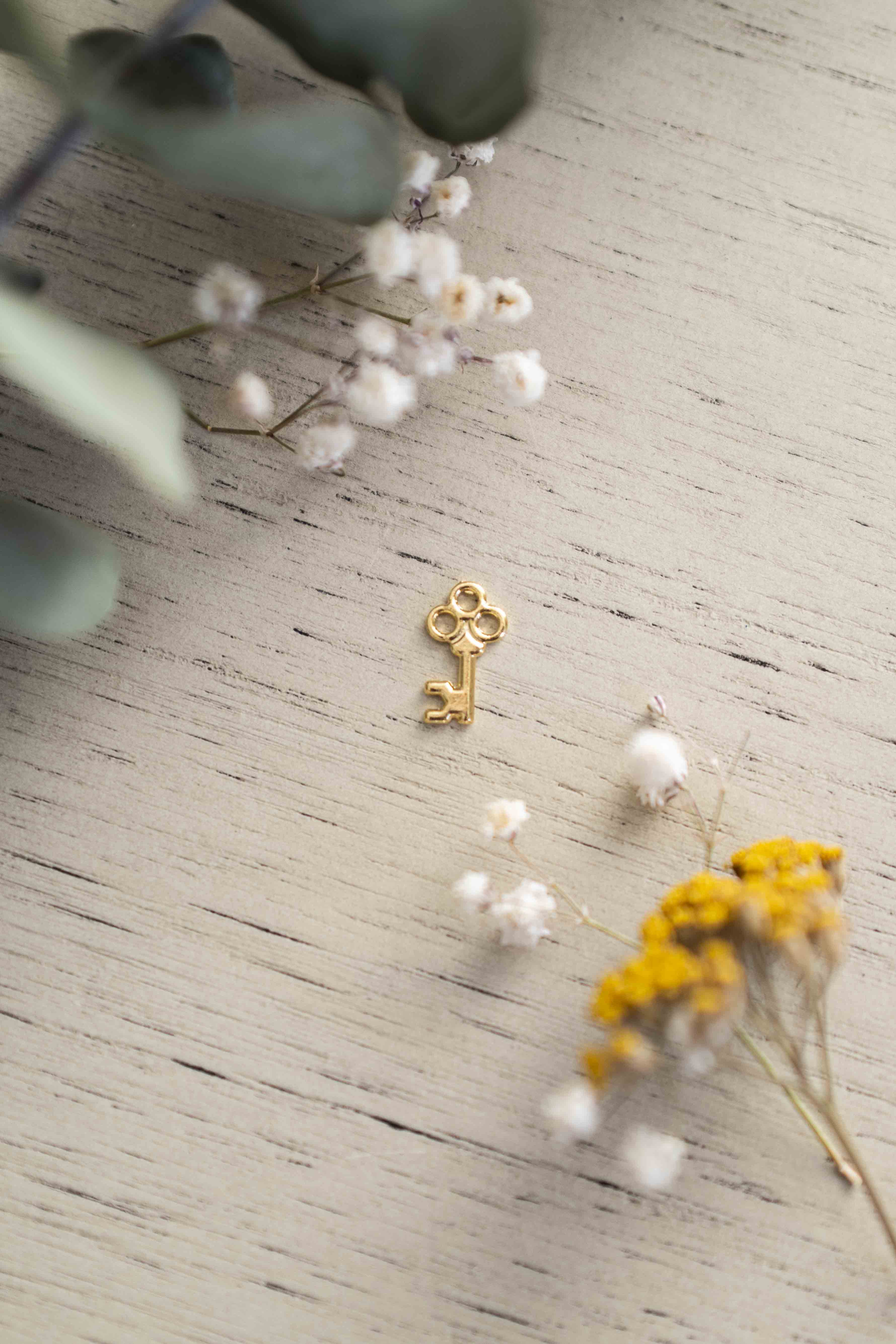 Vatican Key - GABRIELLE ISABEL